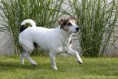 /album/fotogalerie-othello/a1044455-766856336700196-571197604953169445-n-jpg1/