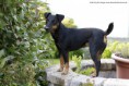 /album/fotogalerie-nina-sina/a10422342-766856293366867-1394736294702799772-n-jpg1/