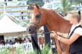 /album/fotogalerie-scarlett-os/a264274-196737097045459-6268223-n-jpg/