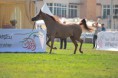 /album/fotogalerie-vh-sanjanaa/a26992509-1763602503692236-4633553969601286493-n-jpg/