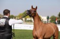 /album/fotogalerie-vh-sanjanaa/a26993376-1763602510358902-8052939904092470142-n-jpg/