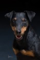 /album/fotogalerie-ena/v0a9756-web-jpg/