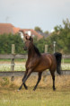 /album/fotogalerie-vh-alessandra/v0a8430-web-jpg/
